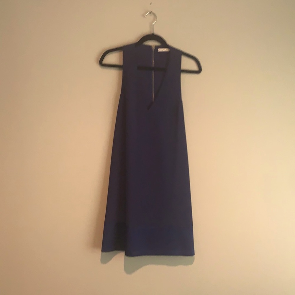 Alice and Olivia dress
